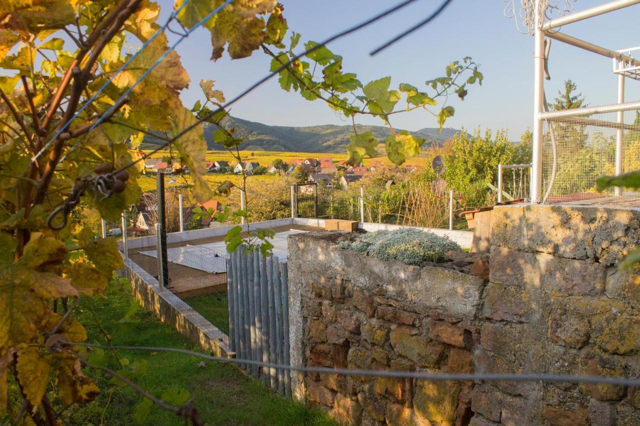 Villa Le Zell Zellenberg Exterior foto